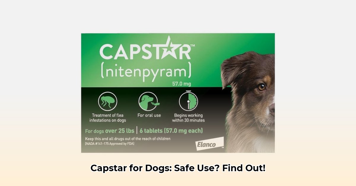 capstar-for-dogs-tractor-supply